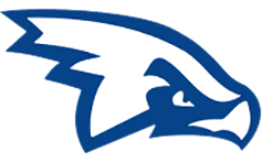 airforcehawks-logo